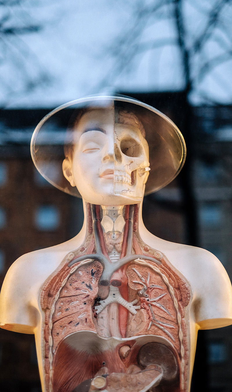 Reduced medicine side effects Adhesive Manufacturer Aabbitt